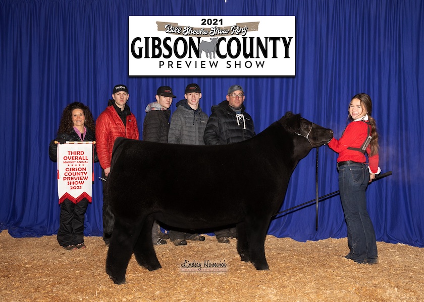3rd Overall Steer 2021 Gibson County Preview Show