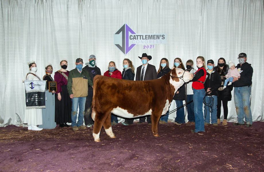 Grand Champion Jr Polled Hereford 2021 Cattleman's Congress
