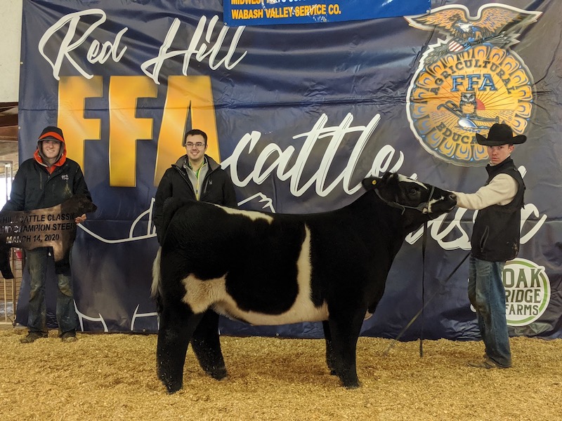 Grand Champion Steer 2020 Red Hill FFA Cattle Classic 